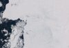 Твейтс втрачає свою захисну функцію