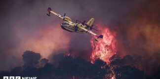 Лісові пожежі у Франції та Іспанії: Евакуації, вогняні грози та боротьба зі стихією