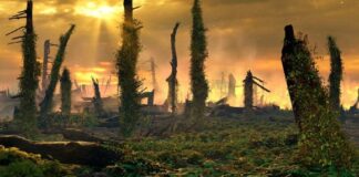 Папоротьові савани та гігантські пожежі: як вимирання наприкінці тріасу охопило Європу