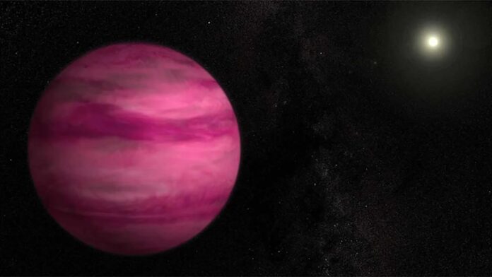 58e88489-051f-4762-b104-e02f96502995