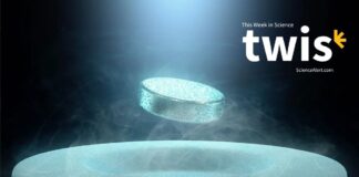 Наука на цьому тижні: коліна, холодна матерія та чорні дірки