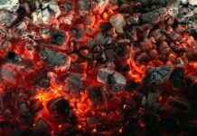 Чому вугілля, як і раніше, є головним джерелом вуглецевих викидів у світі: більш детальний аналіз даних