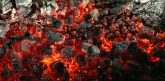 Чому вугілля, як і раніше, є головним джерелом вуглецевих викидів у світі: більш детальний аналіз даних